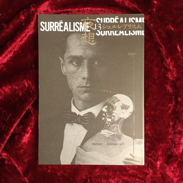 ＜夜想＞ 13 特集:シュルレアリスム