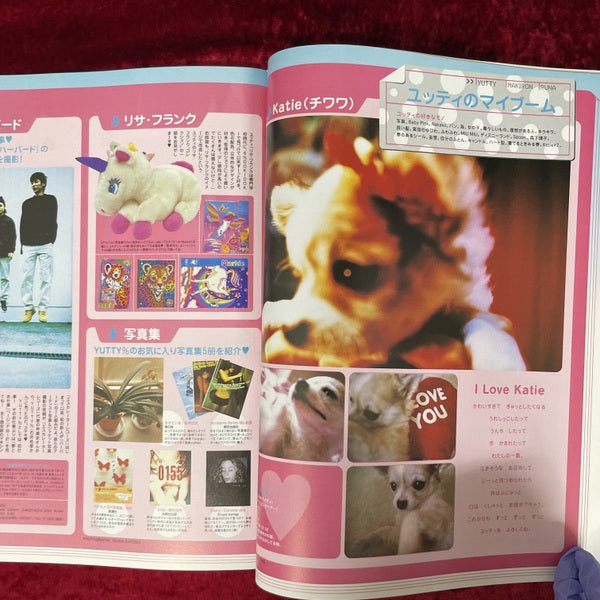 Zipper増刊　2002年春 特別編集 スーパーパチパチズStyle Book