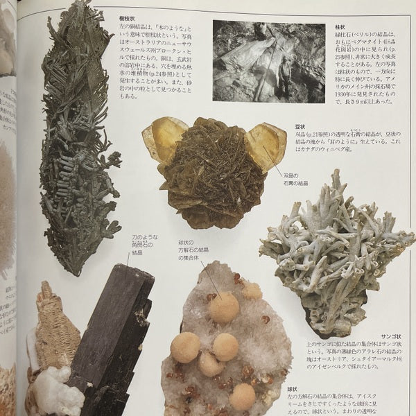 結晶・宝石図鑑 ＜「知」のビジュアル百科 2＞
