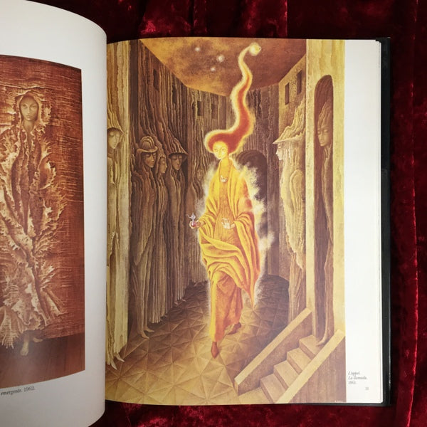 REMEDIOS VARO　レメディオス・ヴァロ　洋書