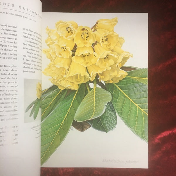Contemporary Botanical Artists　The Shirley Sherwood Collection　洋書