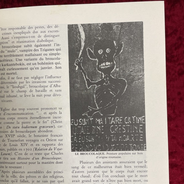LE MUSEE DES VAMPIRES　洋書