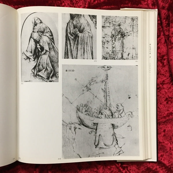 Hieronymus Bosch　洋書