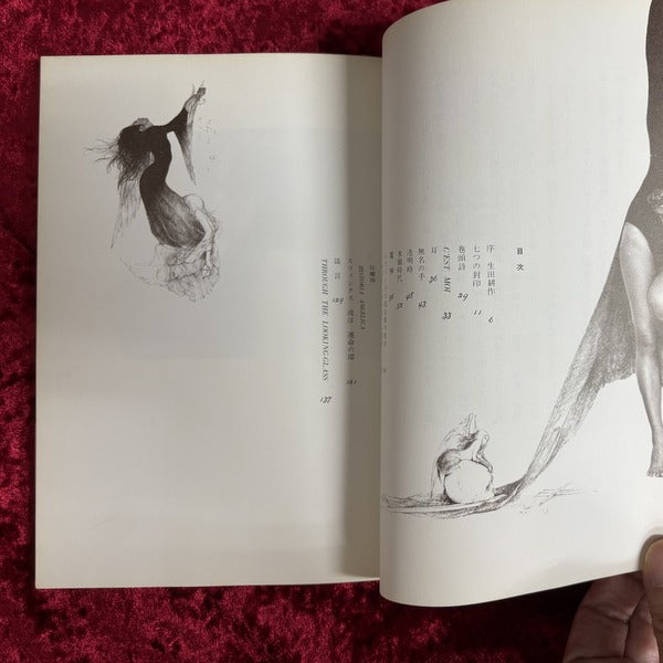 シメール　日夏レイ詩集