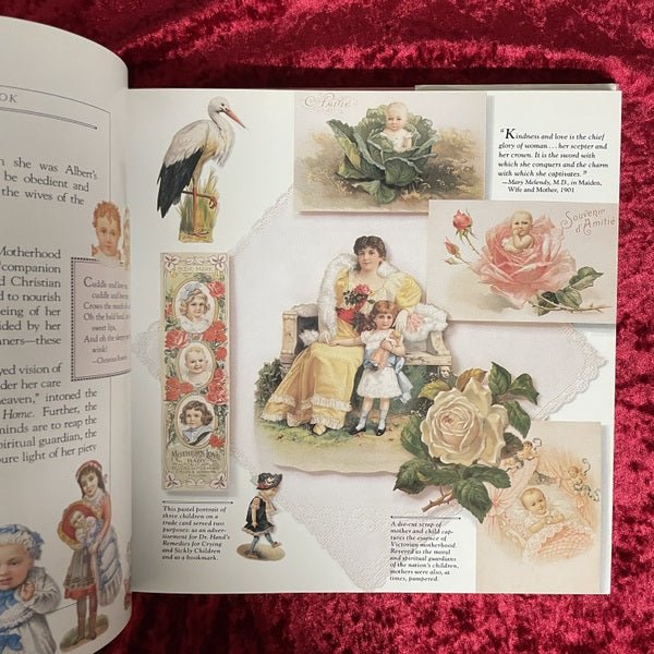 A Victorian Scrapbook 洋書