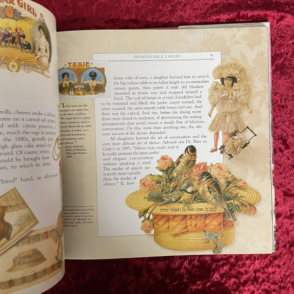 A Victorian Scrapbook 洋書