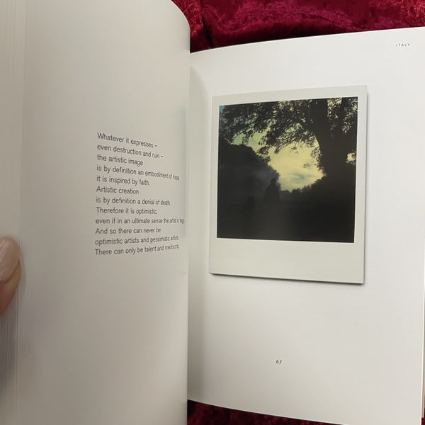 Instant Light: Tarkovsky Polaroids　洋書　アンドレイ・タルコフスキー