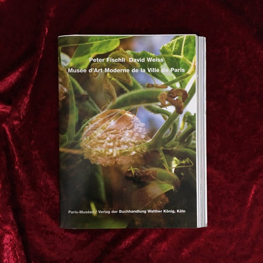 Peter Fischli　David Weiss　ペーター・フィッシュリ＆デビッド・ワイス  Musee d art moderne de la Ville de Paris　洋書