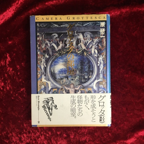 グロテスクの部屋 : 人工洞窟と書斎のアナロギア ＜叢書メラヴィリア 2＞