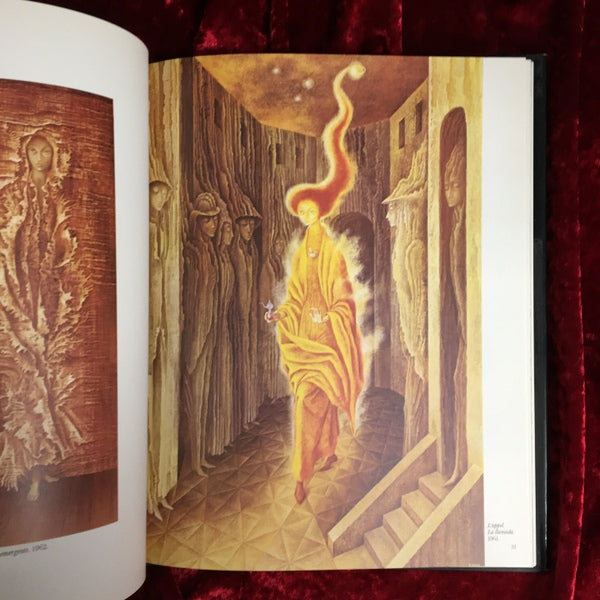 REMEDIOS VARO　レメディオス・ヴァロ　洋書
