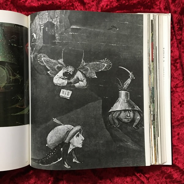 Hieronymus Bosch　洋書