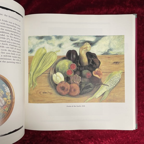 Frida Kahlo: The Paintings 洋書 フリーダ・カーロ – 古書ドリス