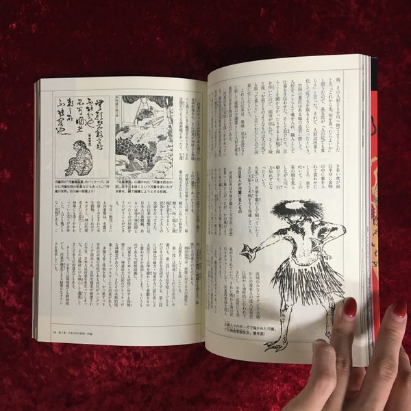 妖怪の本 : 異界の闇に蠢く百鬼夜行の伝説 ＜New sight mook Books esoterica 第24号＞