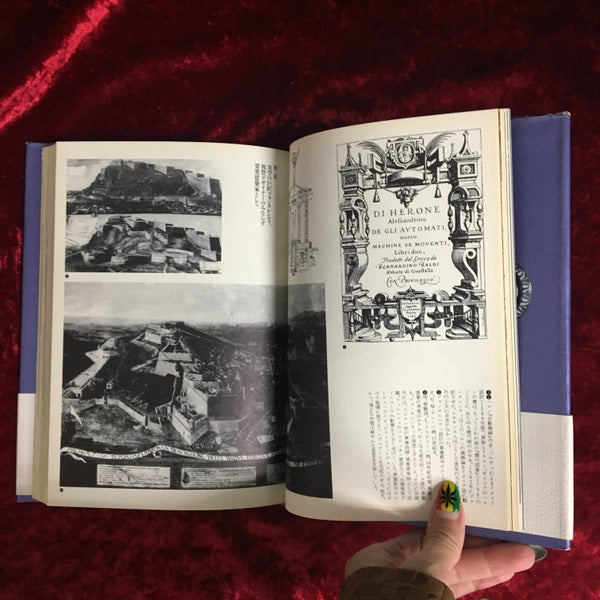 グロテスクの部屋 : 人工洞窟と書斎のアナロギア ＜叢書メラヴィリア 2＞