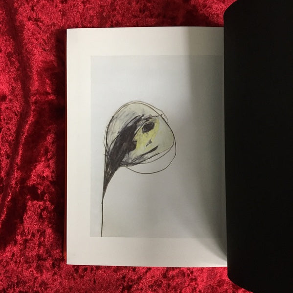 稚兒殺し：倉田啓明譎作集　縮緬装普及本 ＜龜鳴屋本 第三冊目＞