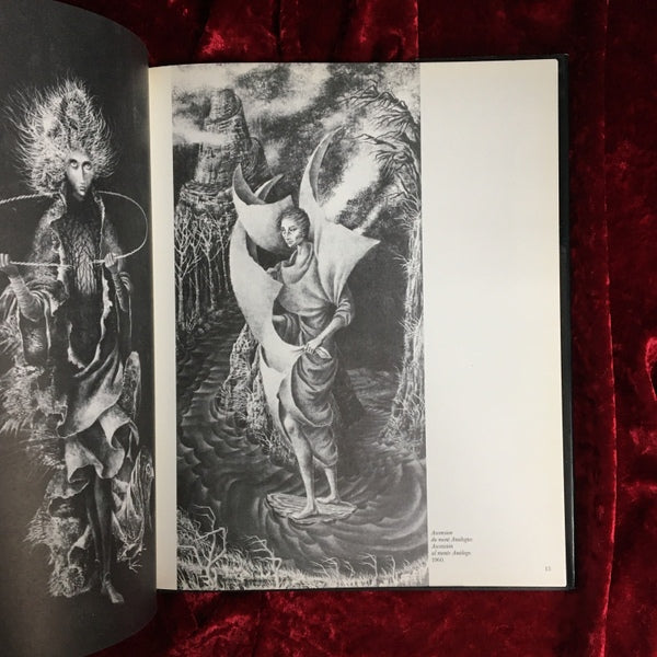 REMEDIOS VARO　レメディオス・ヴァロ　洋書