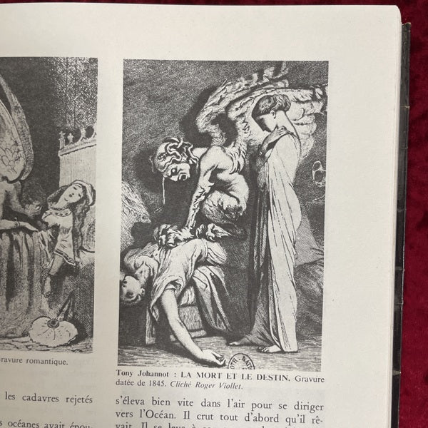 LE MUSEE DES VAMPIRES　洋書