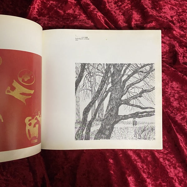 エルンスト展　マックス・エルンスト　展覧会図録