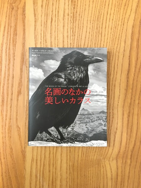 名画のなかの美しいカラス