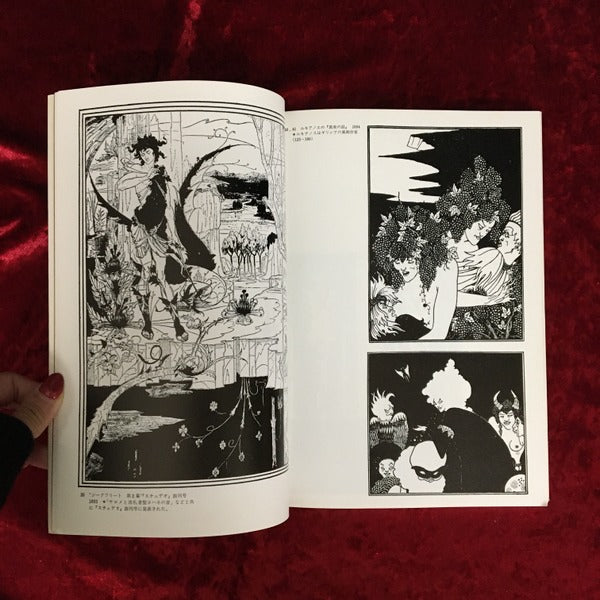 ビアズリーのイラストレーション (双書美術の泉 14)