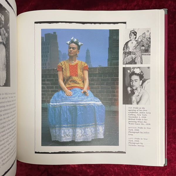 Frida Kahlo: The Paintings 洋書 フリーダ・カーロ – 古書ドリス