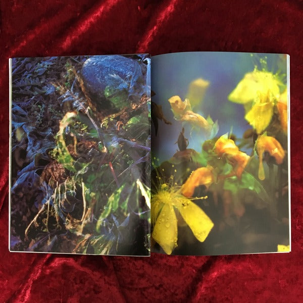 Peter Fischli　David Weiss　ペーター・フィッシュリ＆デビッド・ワイス  Musee d art moderne de la Ville de Paris　洋書