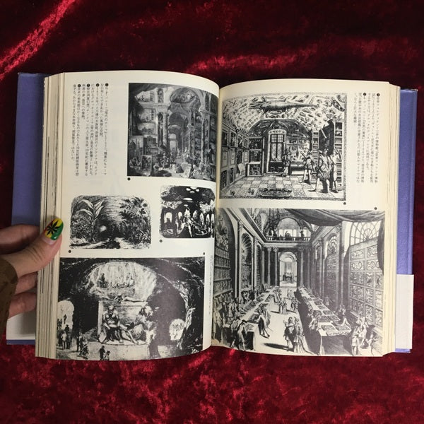 グロテスクの部屋 : 人工洞窟と書斎のアナロギア ＜叢書メラヴィリア 2＞