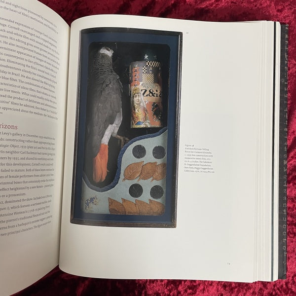 Joseph Cornell: Navigating the Imagination　洋書　ジョセフ・コーネル