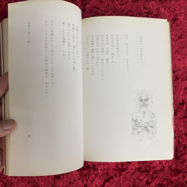 シメール　日夏レイ詩集