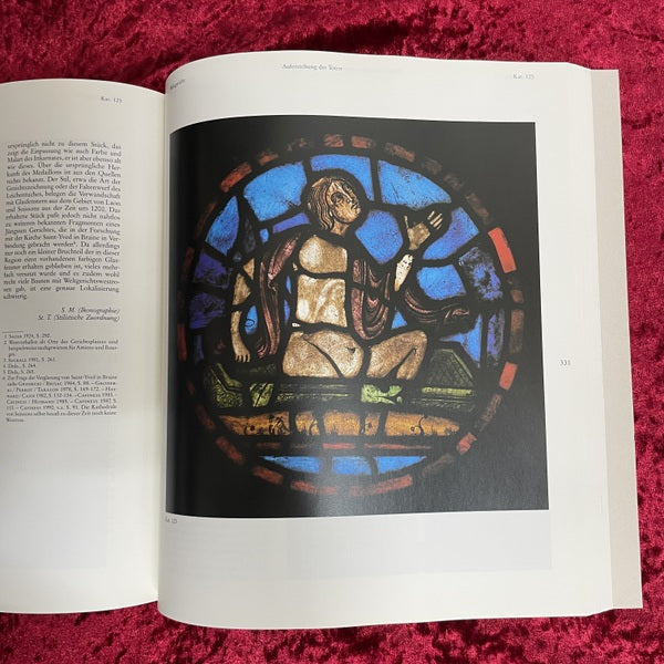 HIMMEL, HOELLE, FEGEFEUER　Das Jenseits im Mittelalter　洋書　