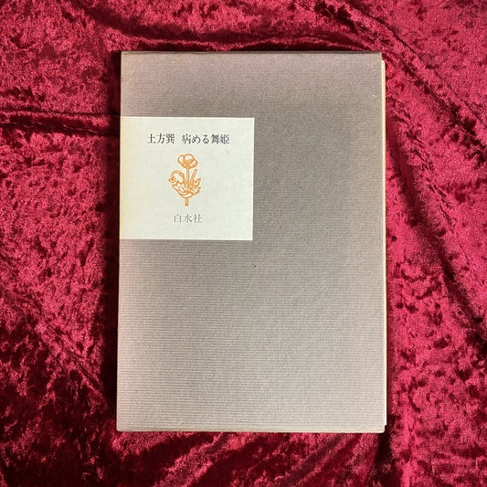 病める舞姫 限定復刻版