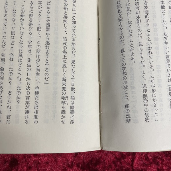 薔薇の天使 For Ladies 10
