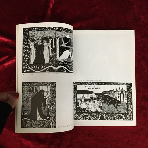 ビアズリーのイラストレーション (双書美術の泉 14)