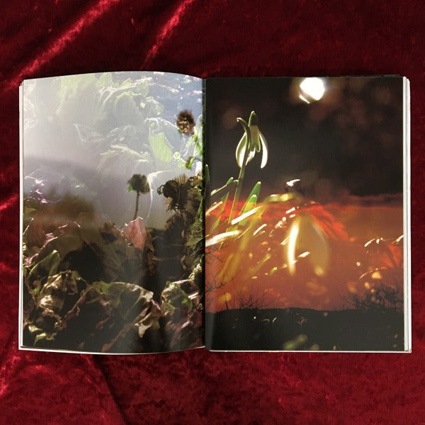 Peter Fischli　David Weiss　ペーター・フィッシュリ＆デビッド・ワイス  Musee d art moderne de la Ville de Paris　洋書