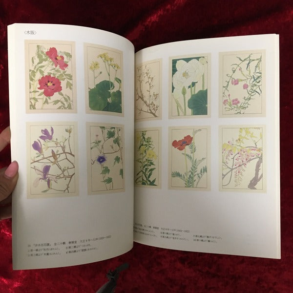 杉浦非水展 : 日本のアール・ヌーボー