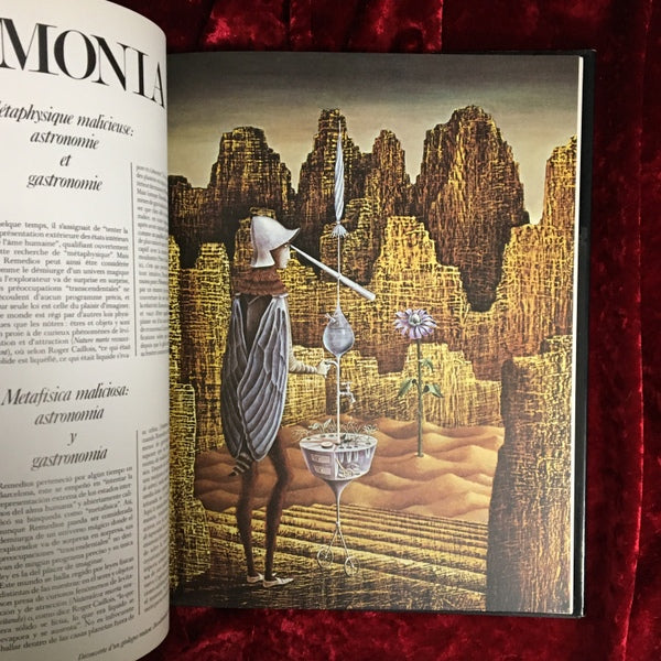 REMEDIOS VARO　レメディオス・ヴァロ　洋書