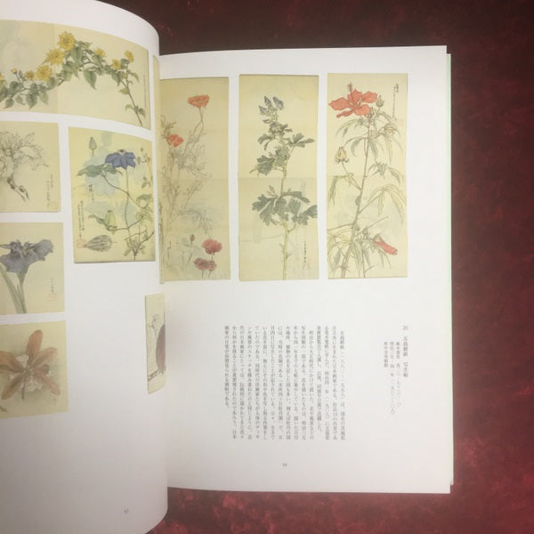 百花の絵 : 館蔵の江戸時代絵画と関連の優品