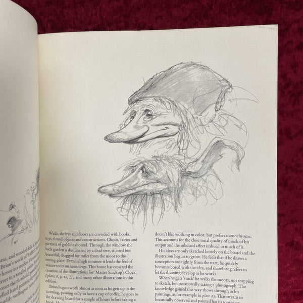 The Land of Froud　洋書