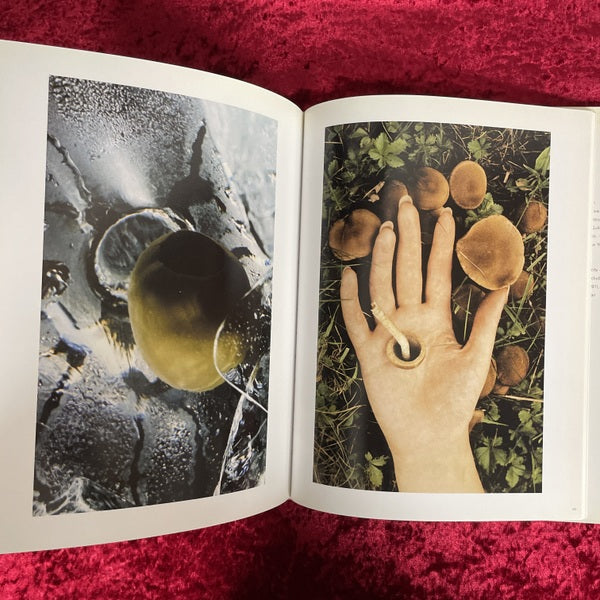 Melvin Sokolsky: Seeing Fashion　洋書　メルヴィン・ソコルスキー