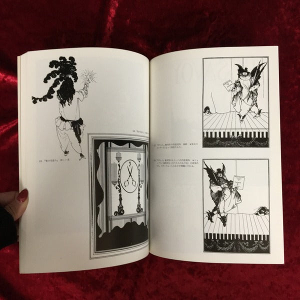 ビアズリーのイラストレーション (双書美術の泉 14)