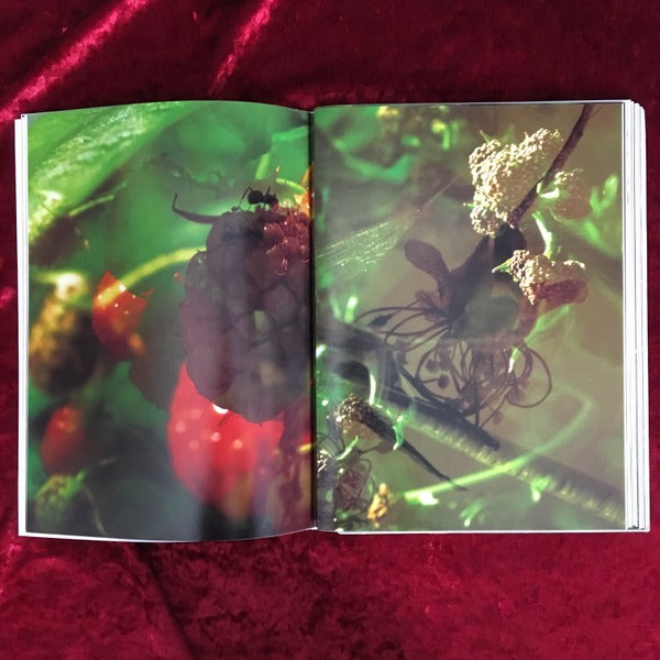 Peter Fischli　David Weiss　ペーター・フィッシュリ＆デビッド・ワイス  Musee d art moderne de la Ville de Paris　洋書