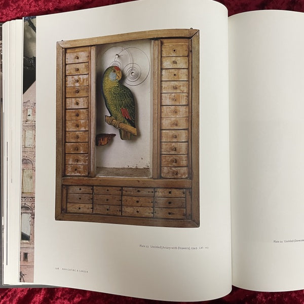 Joseph Cornell: Navigating the Imagination　洋書　ジョセフ・コーネル
