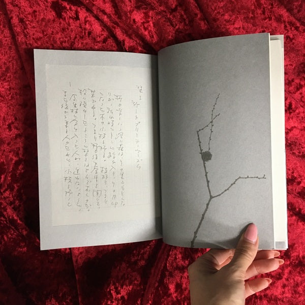 旅する口笛少年 ー 折口信夫への栞