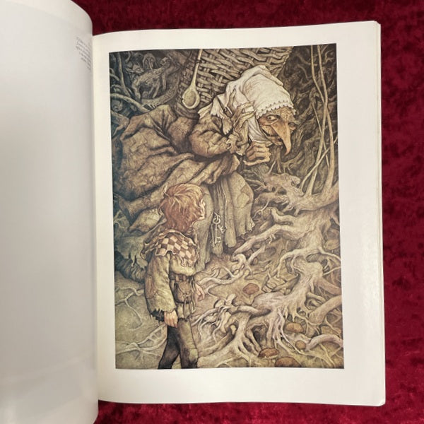 The Land of Froud　洋書