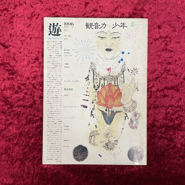 雑誌・サブカルチャー – 古書ドリス