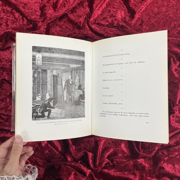 Écritures : avec cent vingt illustrations extraites de l'œuvre de l'auteur／マックス・エルンスト画文集