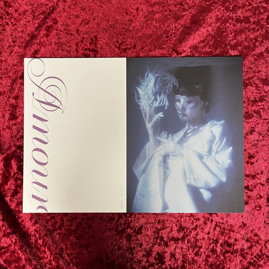 平木希奈 作品集「Amour」　被写体：RINA（SCANDAL）