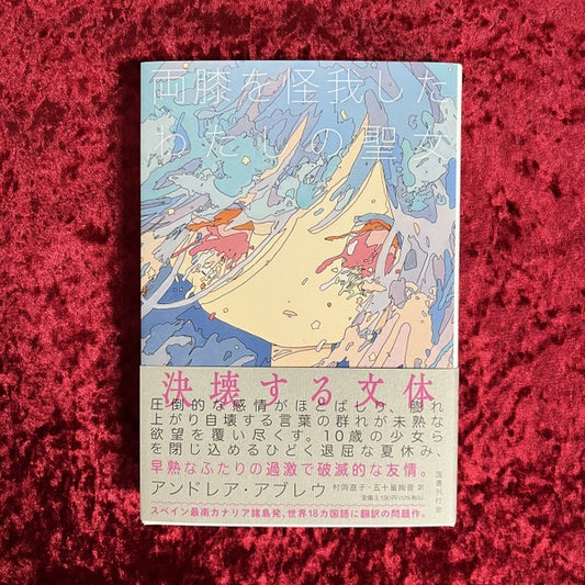 両膝を怪我したわたしの聖女