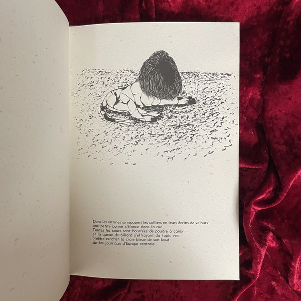 Les Spectres du Désert（砂漠の亡霊）　TOYEN　トワイヤン 洋書