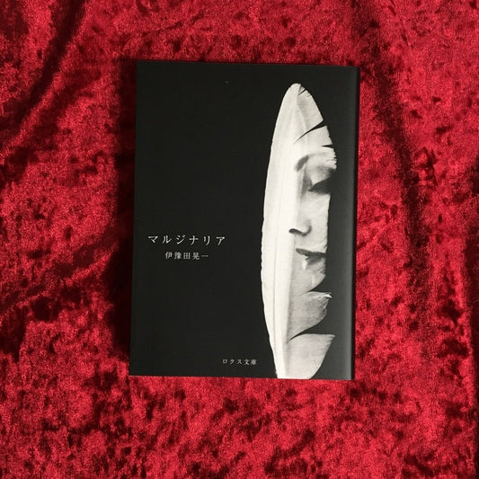 マルジナリア　著者：伊豫田晃一　 ＜ロクス文庫＞